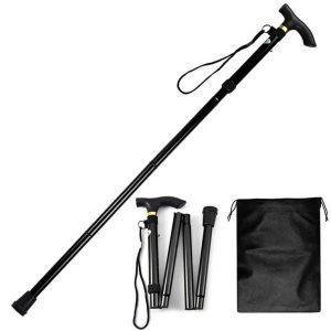 Walking Stick